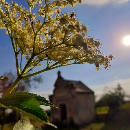 Angliers  La Galuche Bed & Breakfast エクステリア 写真